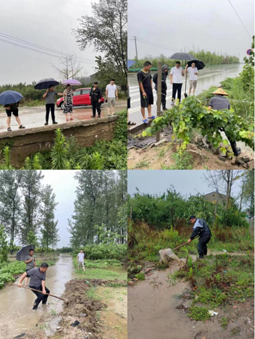 不惧风雨 让党旗飘扬 ——梅屯村冲锋在防汛抗疫一线