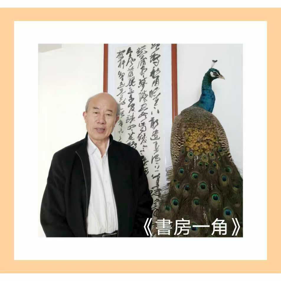 汲古生新，笔落惊风——记书法家赵琦的艺术人生